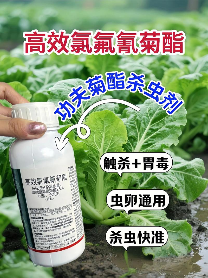 安顺代生中心:农药对供卵代生妈妈的危害